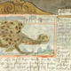 Illustration for article titled Centuries-Old Drawings of Europes Greatest Sea Monsters
